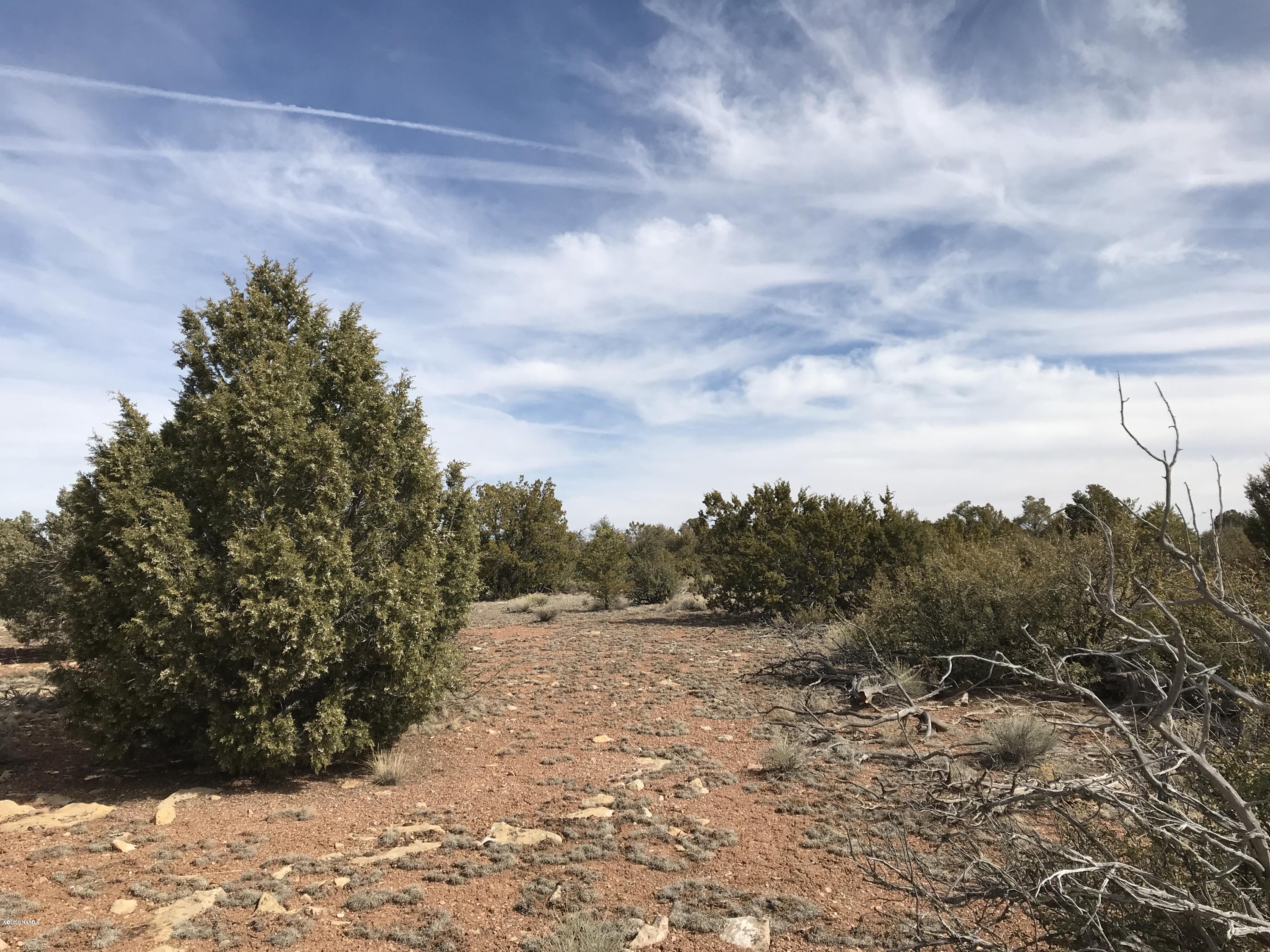 10654 West Red Bluff Road Williams, AZ 86046 - Photo 15 of 28 084F5D48-2511-4D22-9144-1ED43DFFE7AA