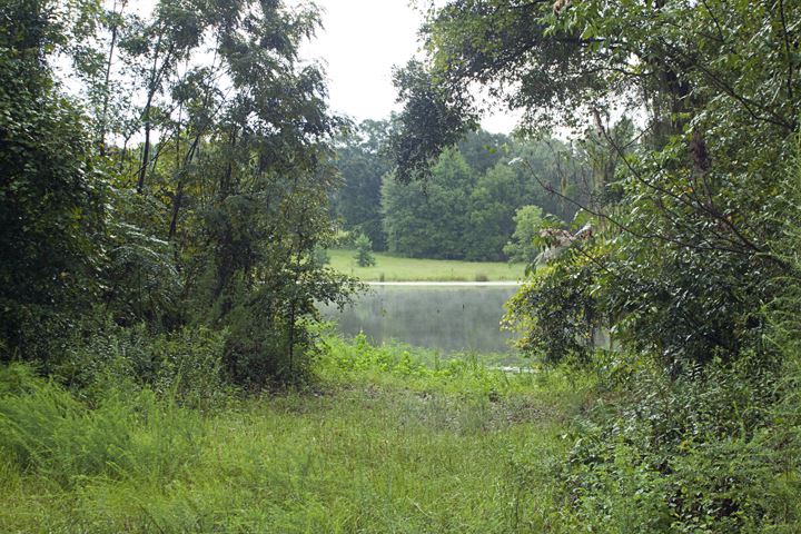 Xxx Dover Road Havana, FL 32343 - Photo 3 of 6 Gallery Image 3