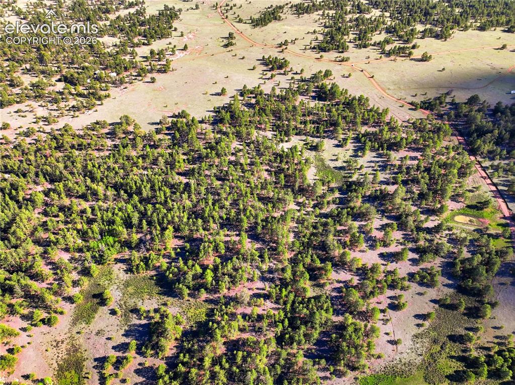 Doe Valley Road Guffey, CO 80820 - Photo 15 of 19 Expansive natural landscape with scattered evergreen trees and open ground