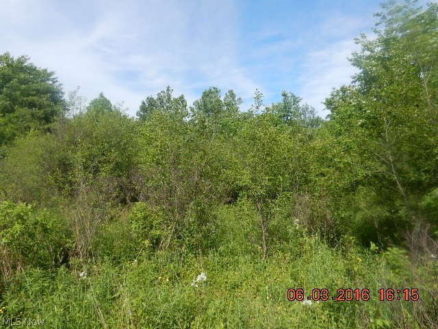 Hoffman Road Rome, OH 44085 - Photo 9 of 34
