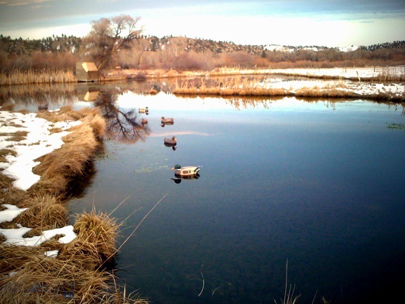 1433 Highway 10 East Reed Point, MT 59069 - Photo 89 of 100 Gallery Image 89