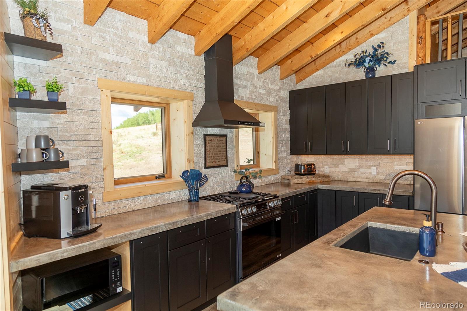 1001 County Road Lake City, CO 81235 - Photo 4 of 26