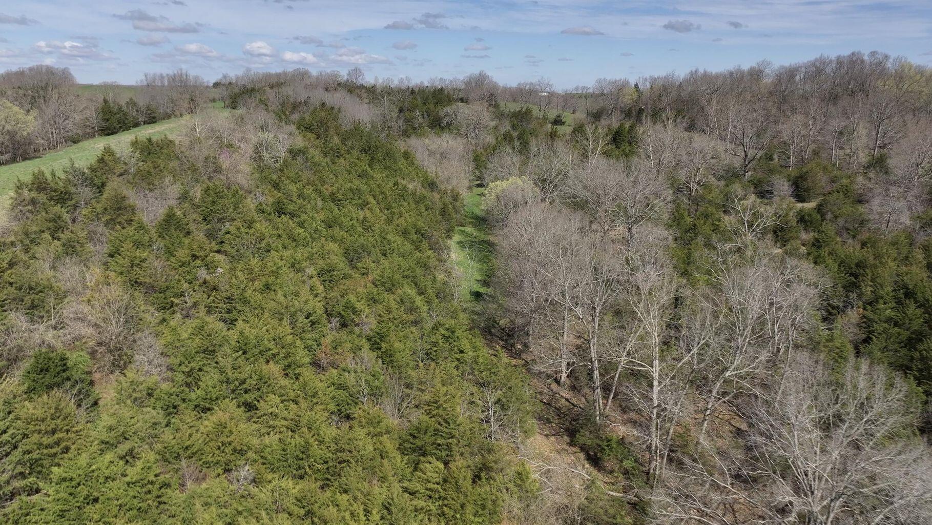 51.85 Rutland Road Cynthiana, KY 41031 - Photo 28 of 33 Gallery Image 28