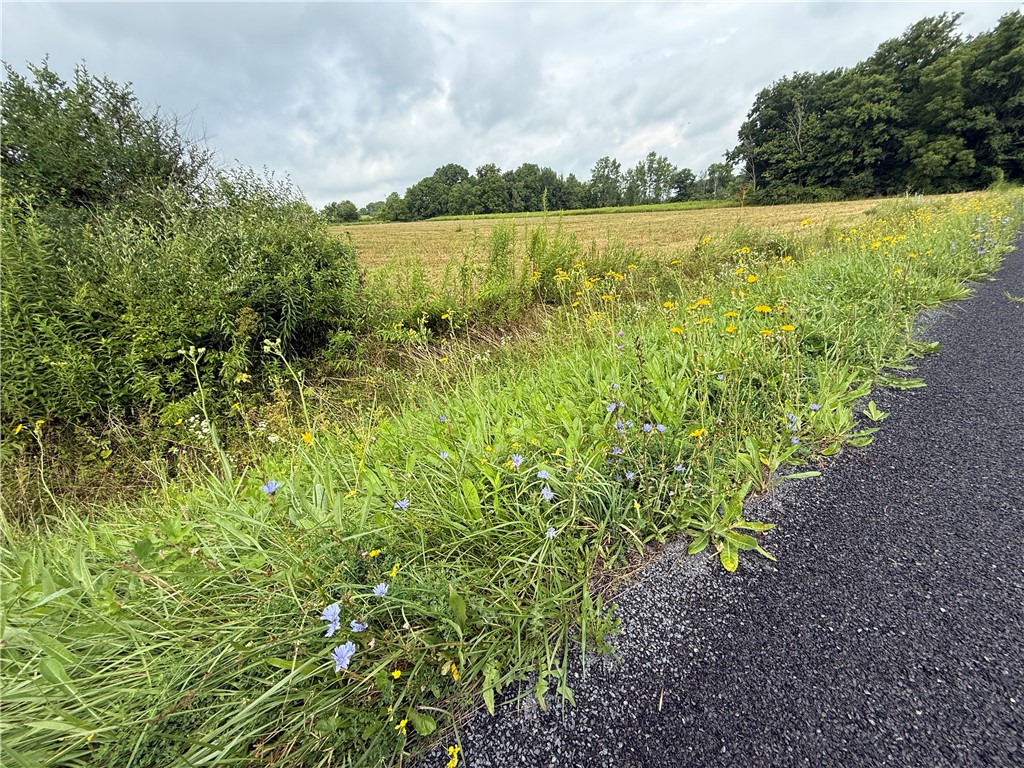 Halseyville Road Ithaca, NY 14850 - Photo 25 of 29 Gallery Image 25