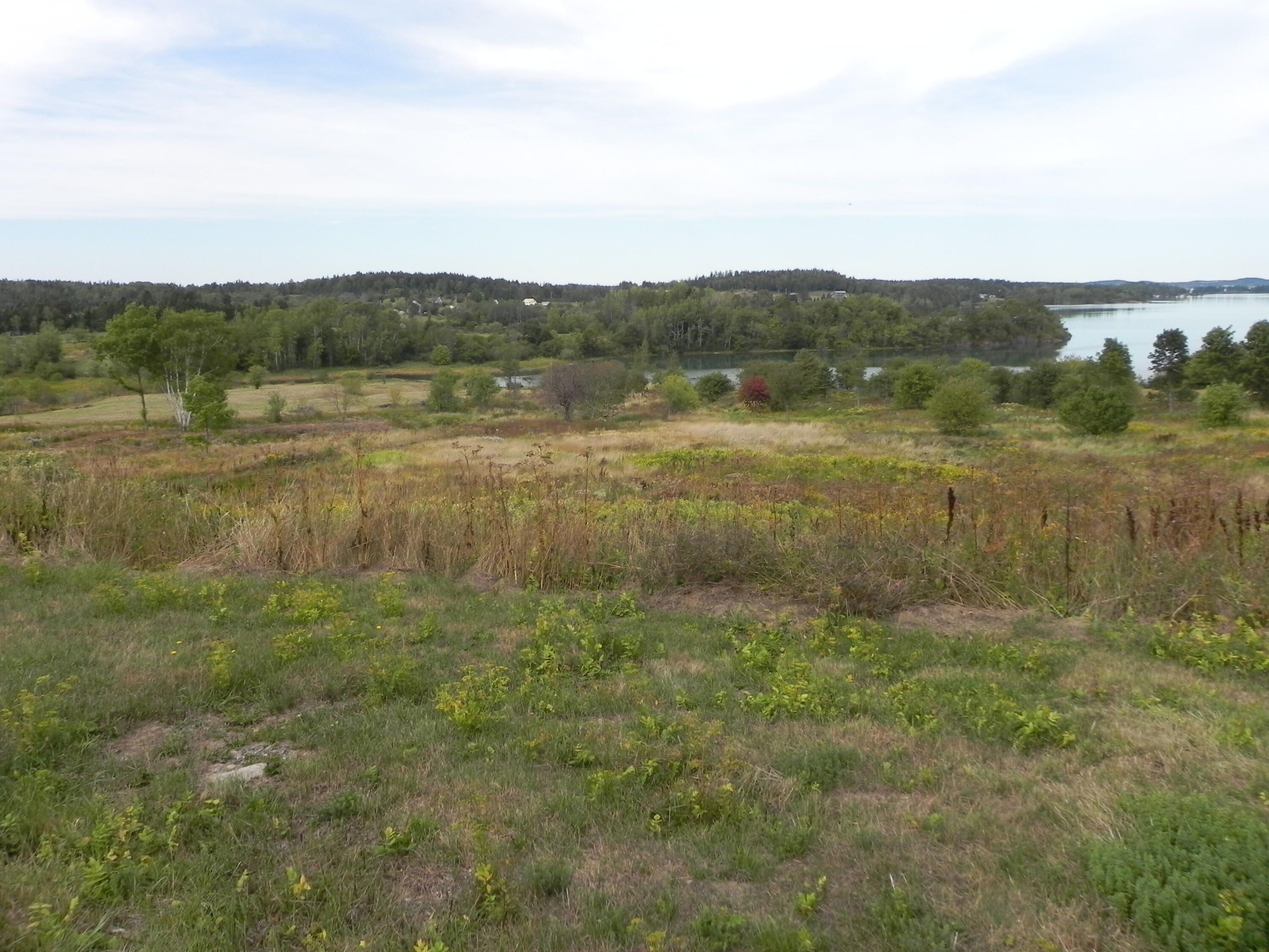 225 County Road Lubec, ME 04652 - Photo 19 of 32 DSCN0447