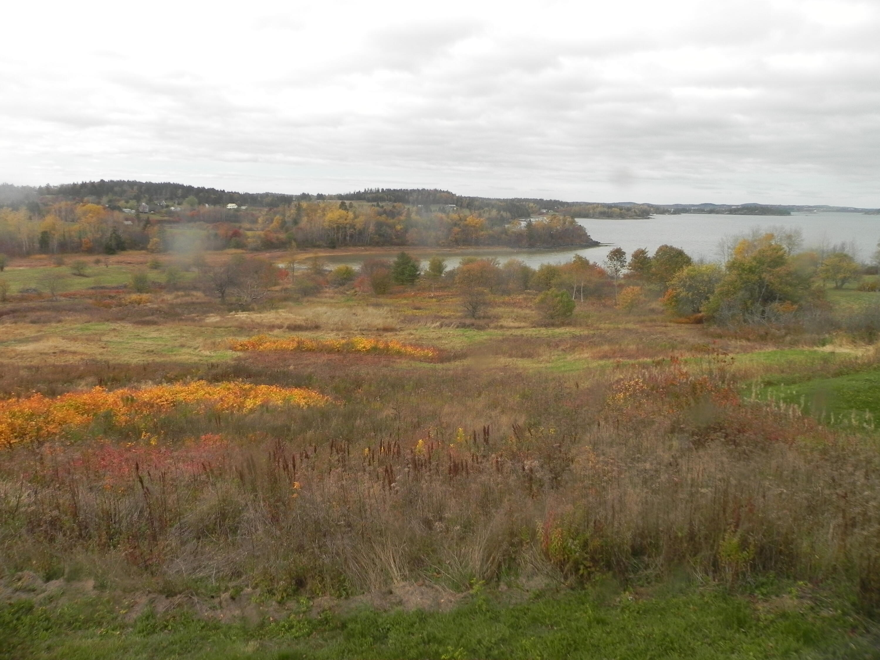 225 County Road Lubec, ME 04652 - Photo 2 of 32 DSCN0505