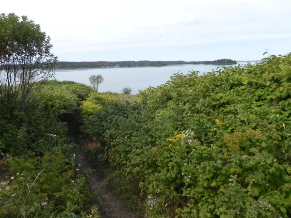 $550,000 | 225 County Road, Lubec, ME 04652