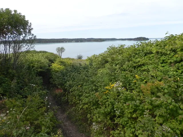 $550,000 | 225 County Road, Lubec, ME 04652