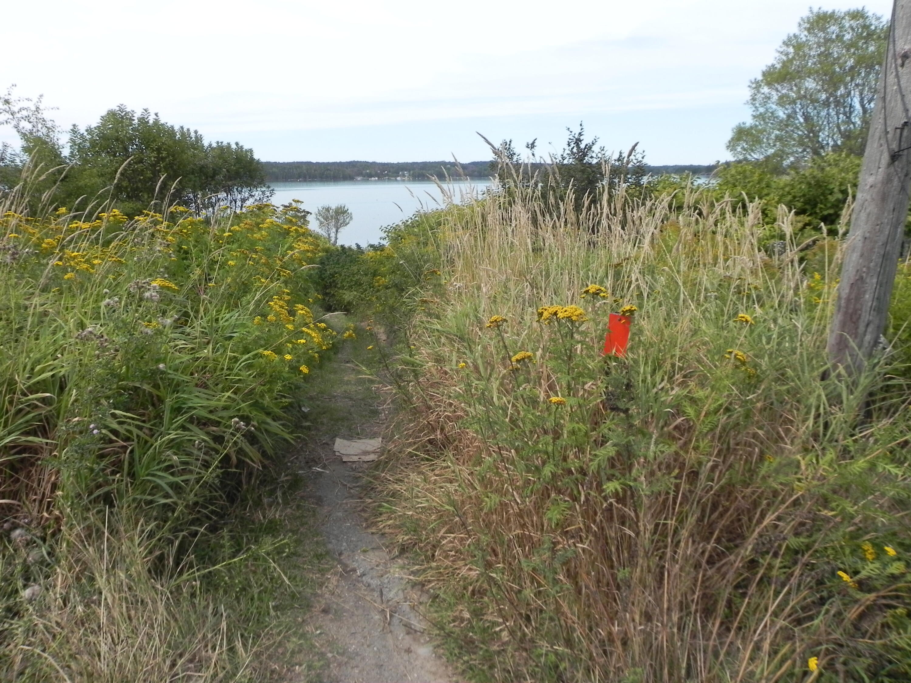 225 County Road Lubec, ME 04652 - Photo 31 of 32 DSCN0438