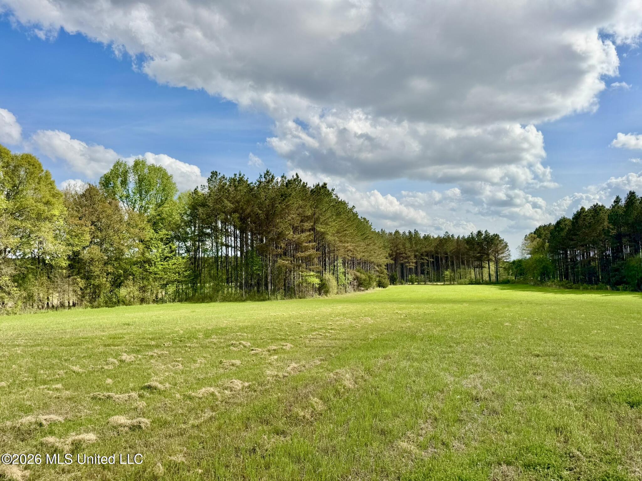 875 Stump Bridge Road Canton, MS 39046 - Photo 19 of 21 DB1542FC-93F8-4767-BFAF-44E49E79D142_1_1