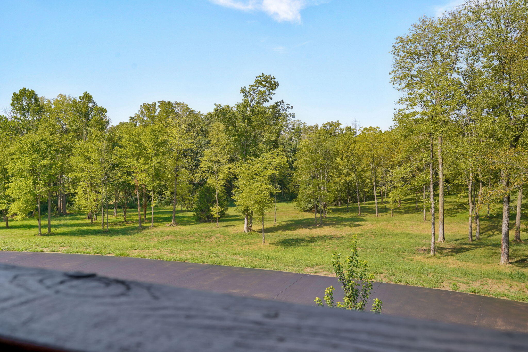 497 Double Spring Road Republic, MO 65738 - Photo 118 of 171 497 Double Spring Rd-119