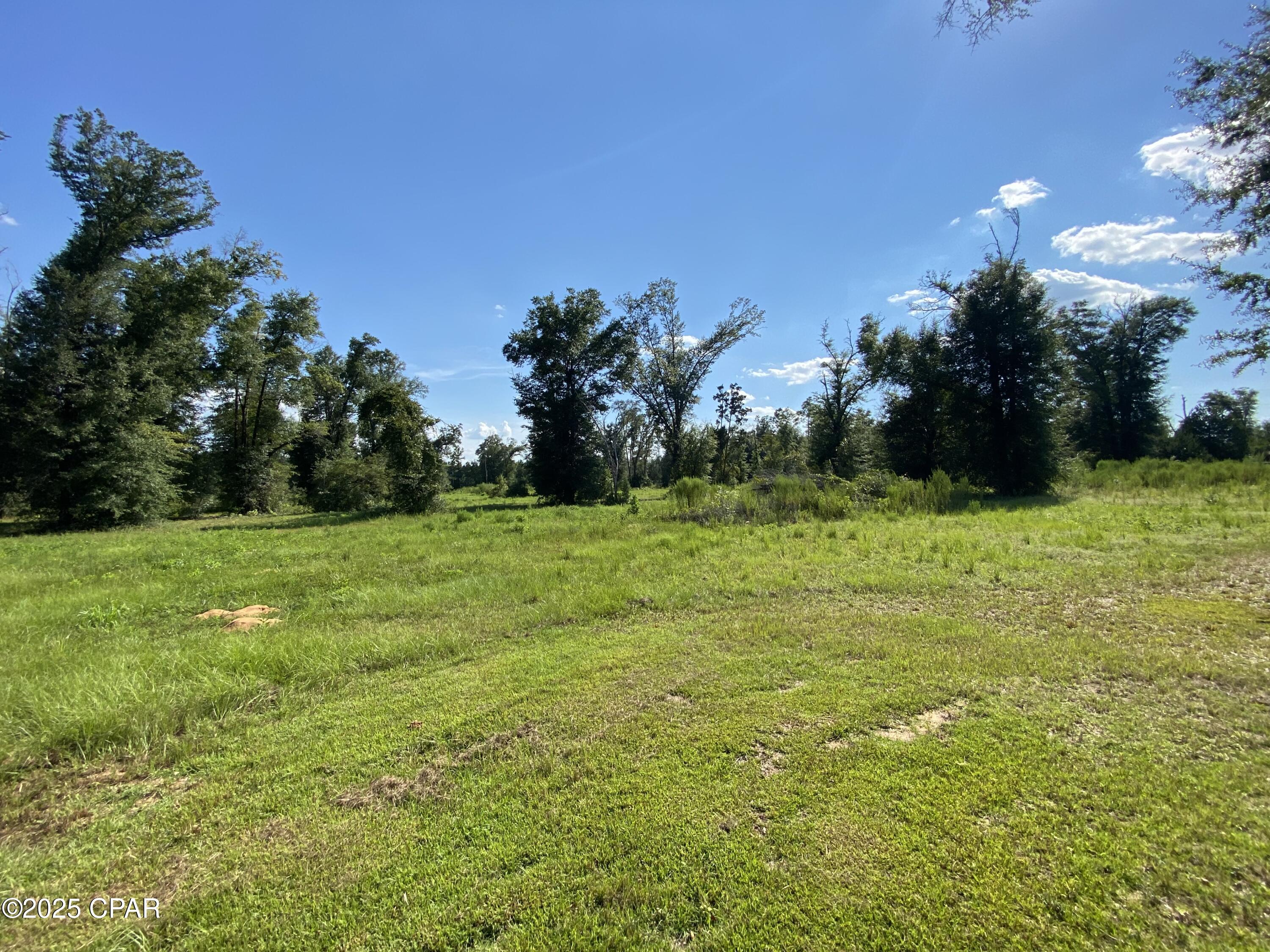 7960 Northwest County Road 274 Altha, FL 32421 - Photo 36 of 84