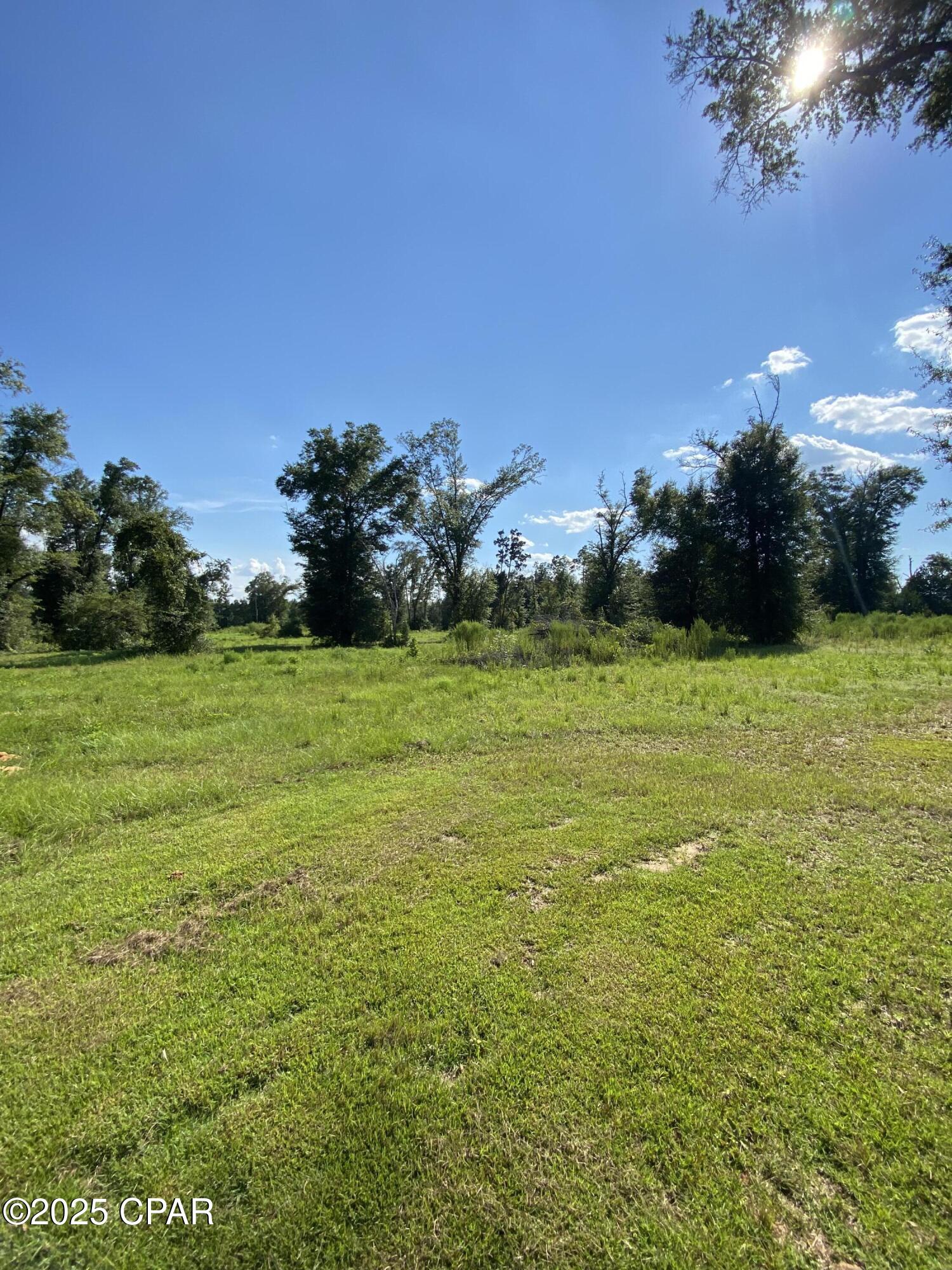 7960 Northwest County Road 274 Altha, FL 32421 - Photo 37 of 84