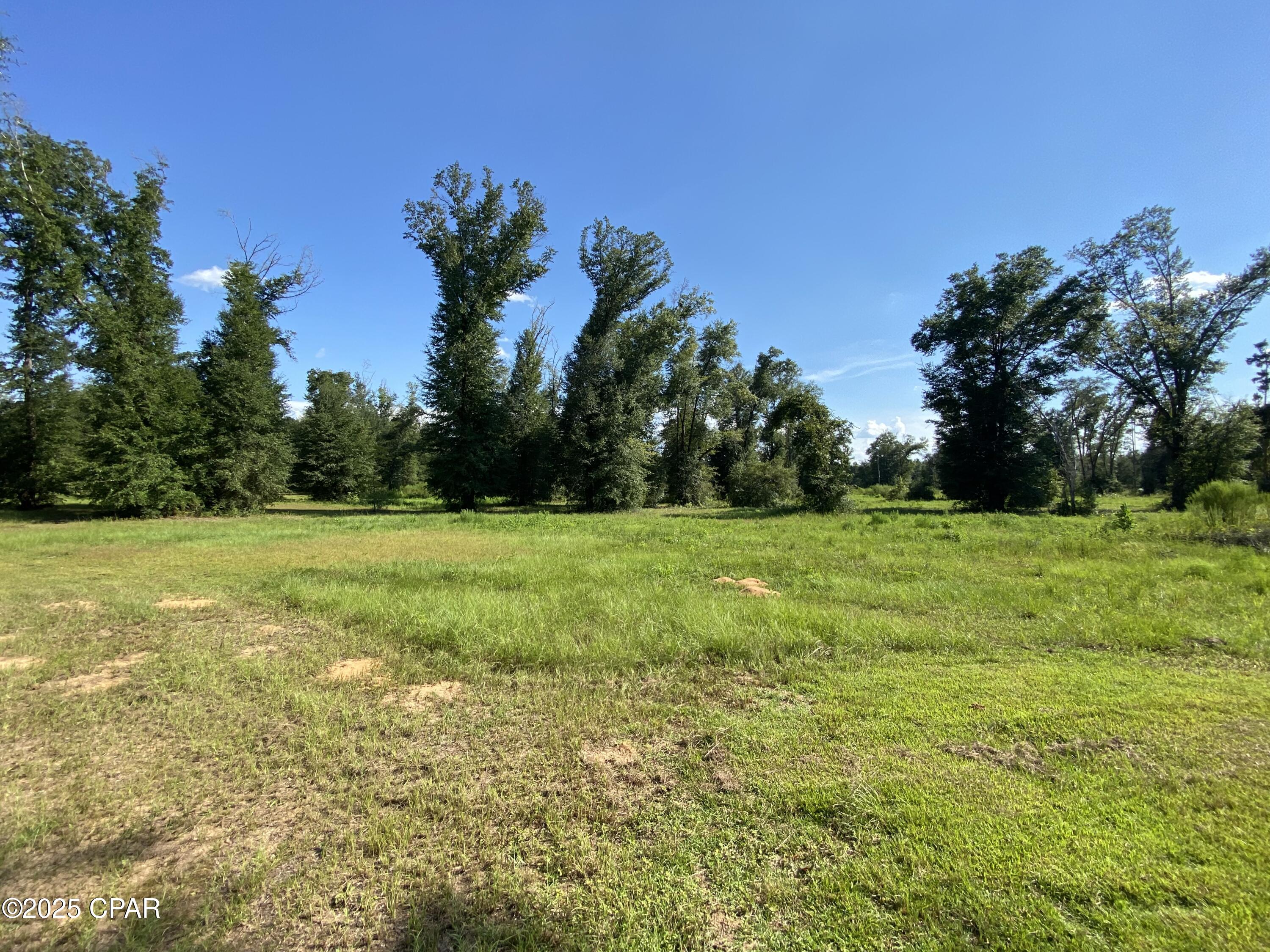 7960 Northwest County Road 274 Altha, FL 32421 - Photo 38 of 84