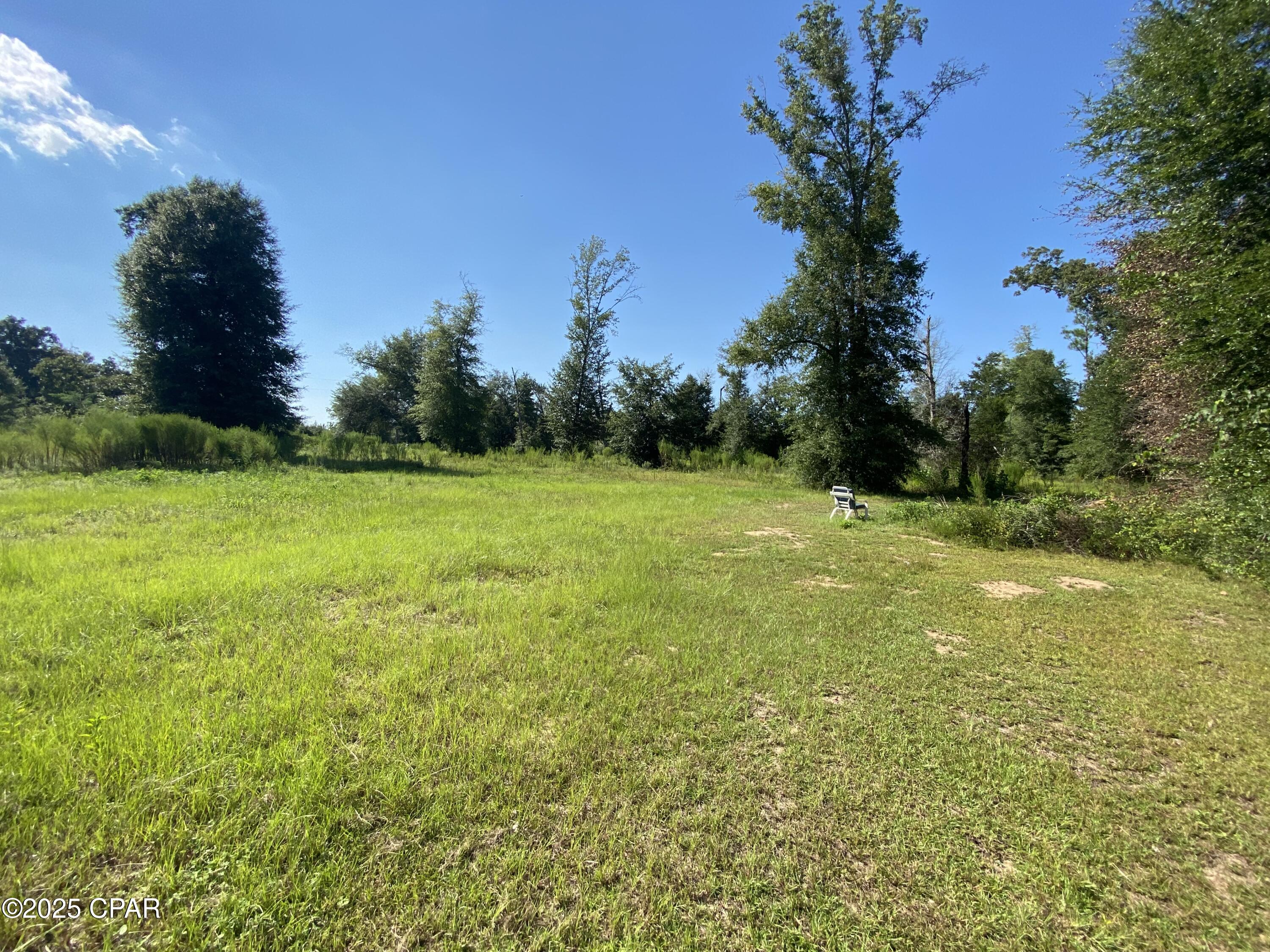 7960 Northwest County Road 274 Altha, FL 32421 - Photo 43 of 84