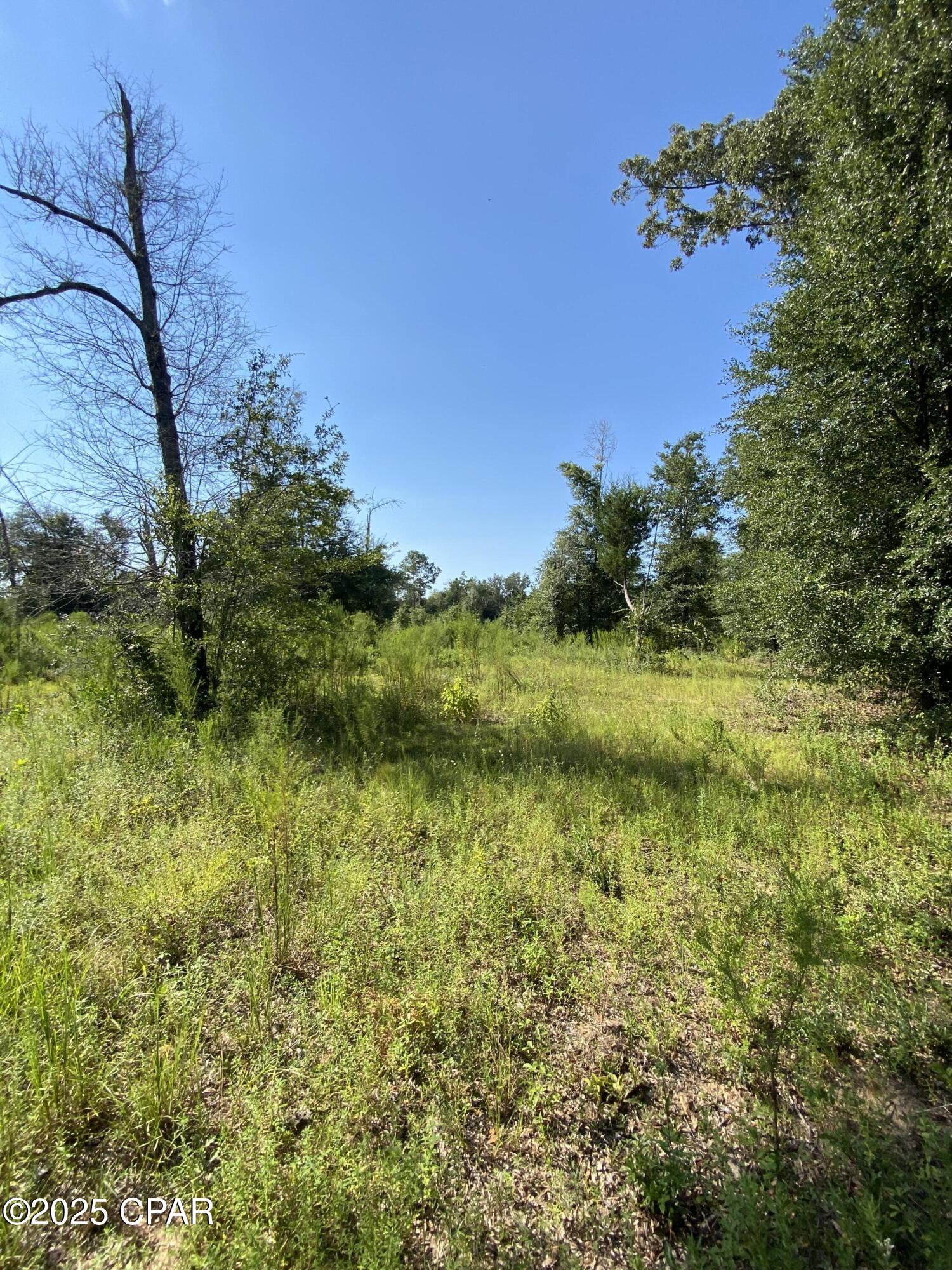 7960 Northwest County Road 274 Altha, FL 32421 - Photo 44 of 84