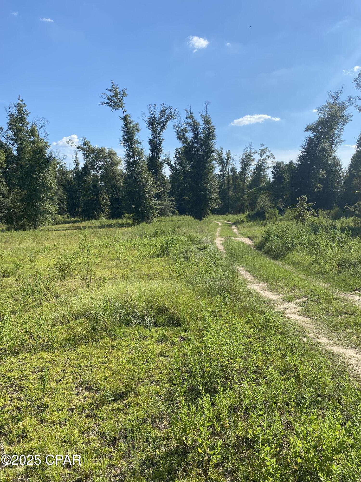 7960 Northwest County Road 274 Altha, FL 32421 - Photo 73 of 84