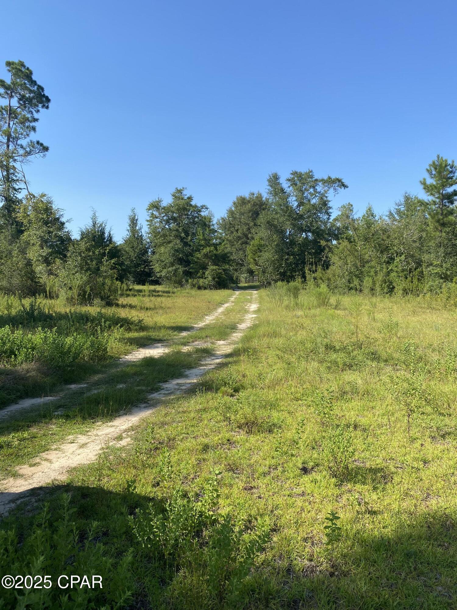 7960 Northwest County Road 274 Altha, FL 32421 - Photo 74 of 84