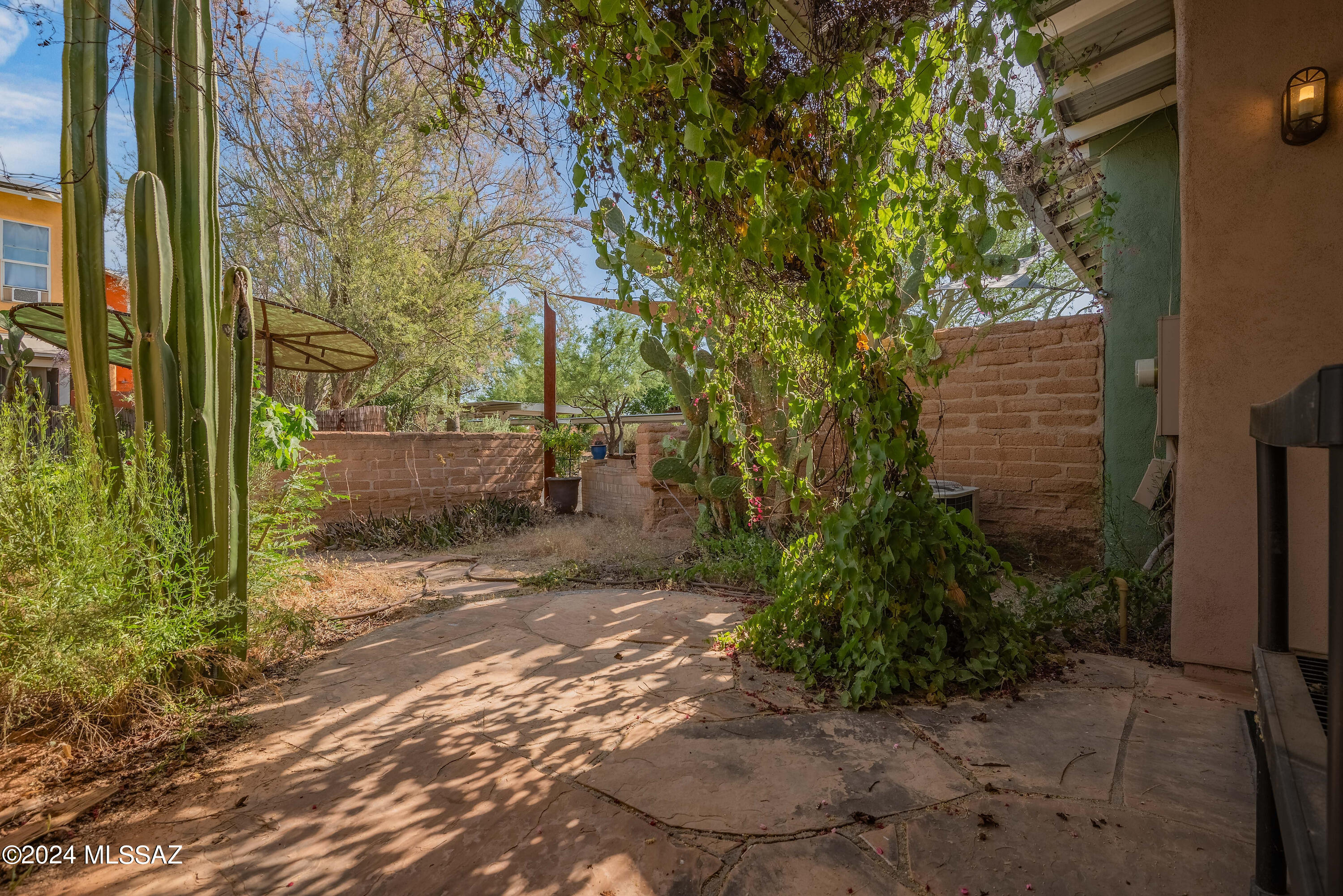 523 East Roger Road Tucson, AZ 85705 - Photo 8 of 40 a view of a pathway of a yard