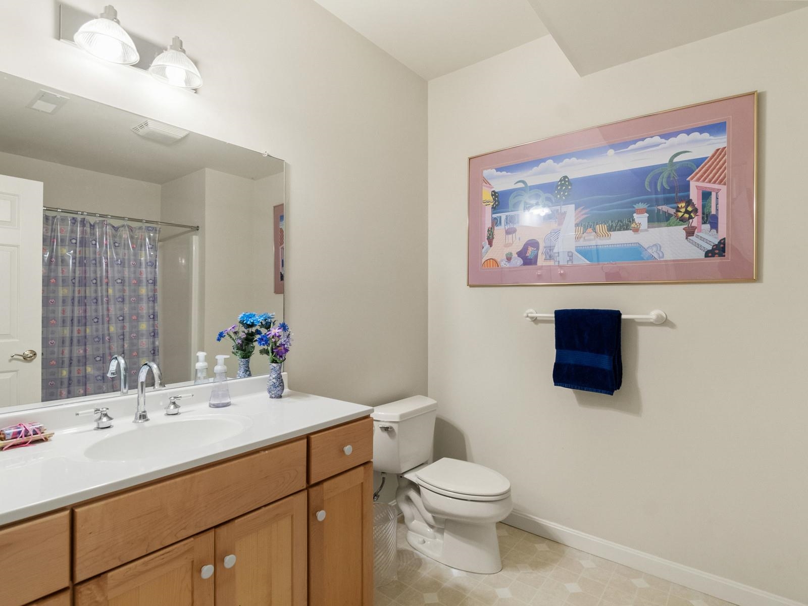 286 Park Road South Burlington, VT 05403 - Photo 37 of 46 Gallery Image 37