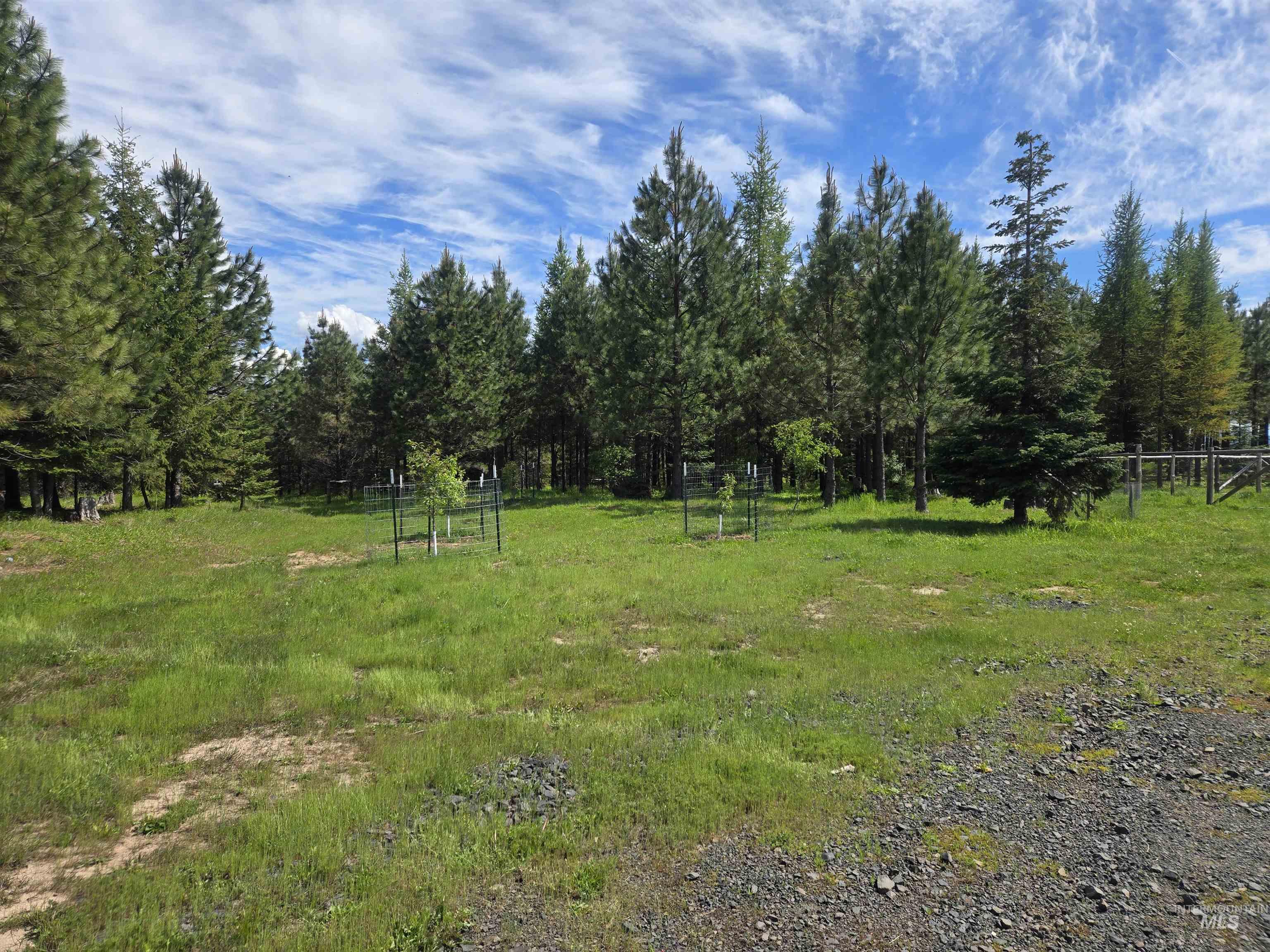 11970 Upper Fords Creek Road Orofino, ID 83544 - Photo 11 of 41