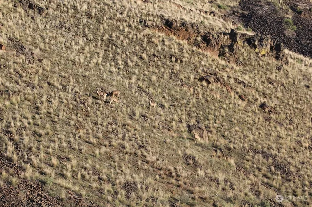 $12,000 | 125 Bodie Drive, Ephrata, WA 98823