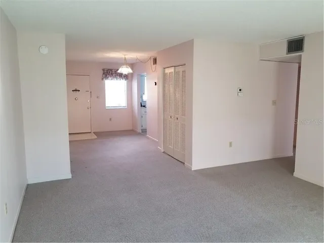 a view of a big room with closet and windows