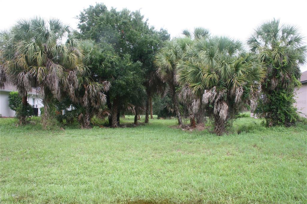 176 Marker Road Rotonda West, FL 33947 - Photo 1 of 1 a view of a trees in a park