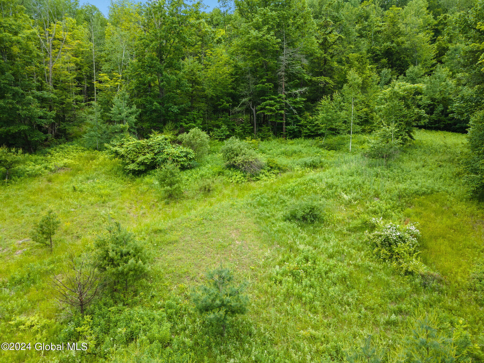 240 Cresent Road Gilboa, NY 12076 - Photo 45 of 49 49-web-or-mls-240CresentRd_49