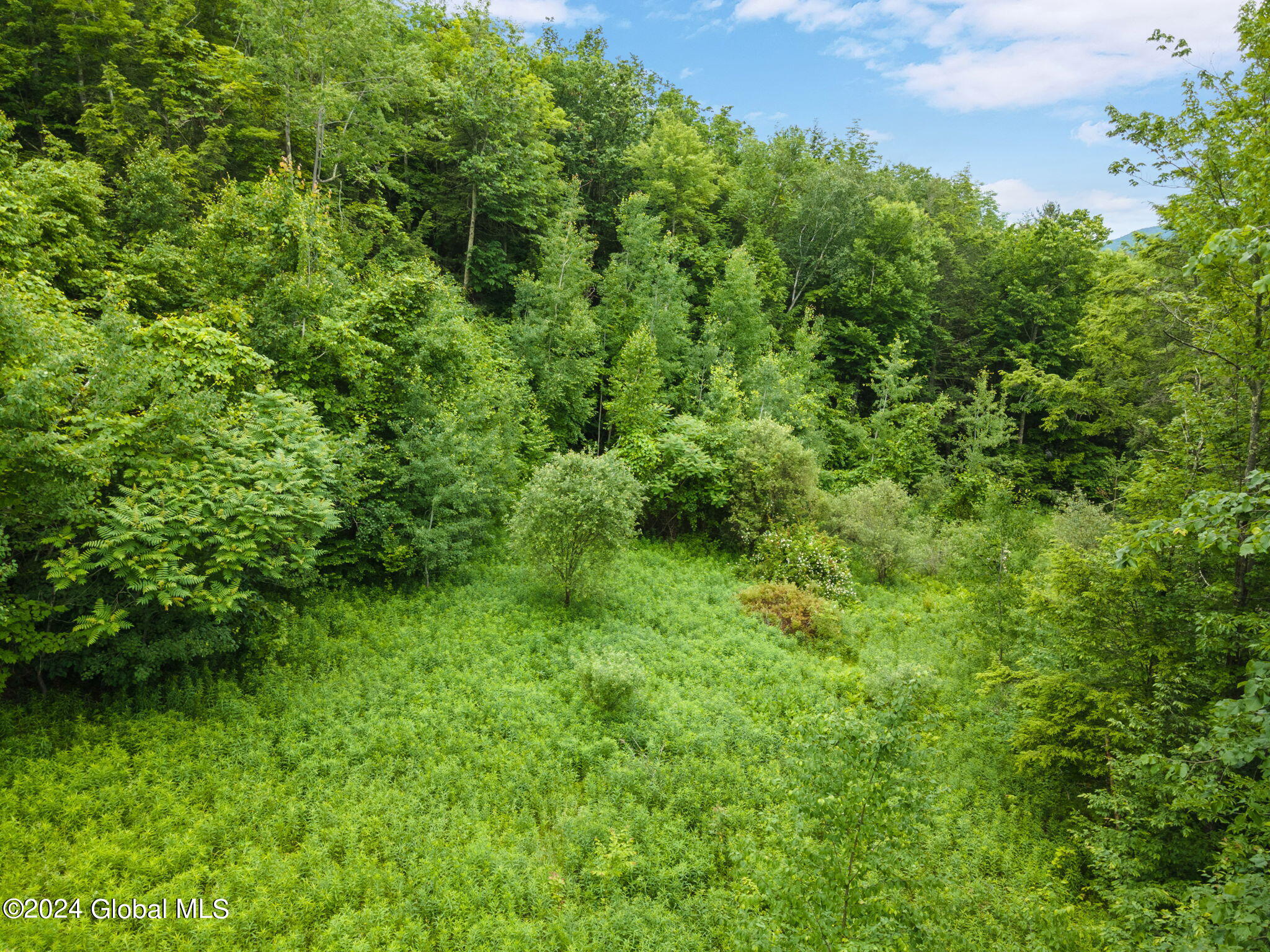 240 Cresent Road Gilboa, NY 12076 - Photo 46 of 49 50-web-or-mls-240CresentRd_50