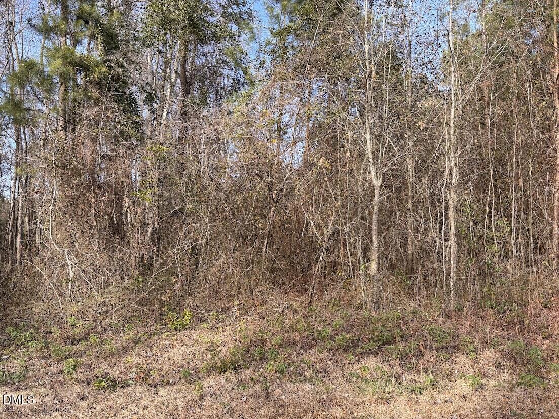 0 Watson Graveyard Road Clarkton, NC 28433 - Photo 3 of 5 2