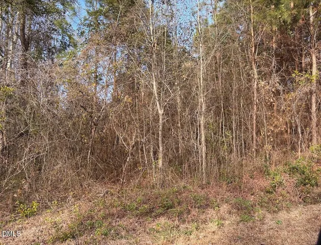 $55,000 | 0 Watson Graveyard Road, Clarkton, NC 28433