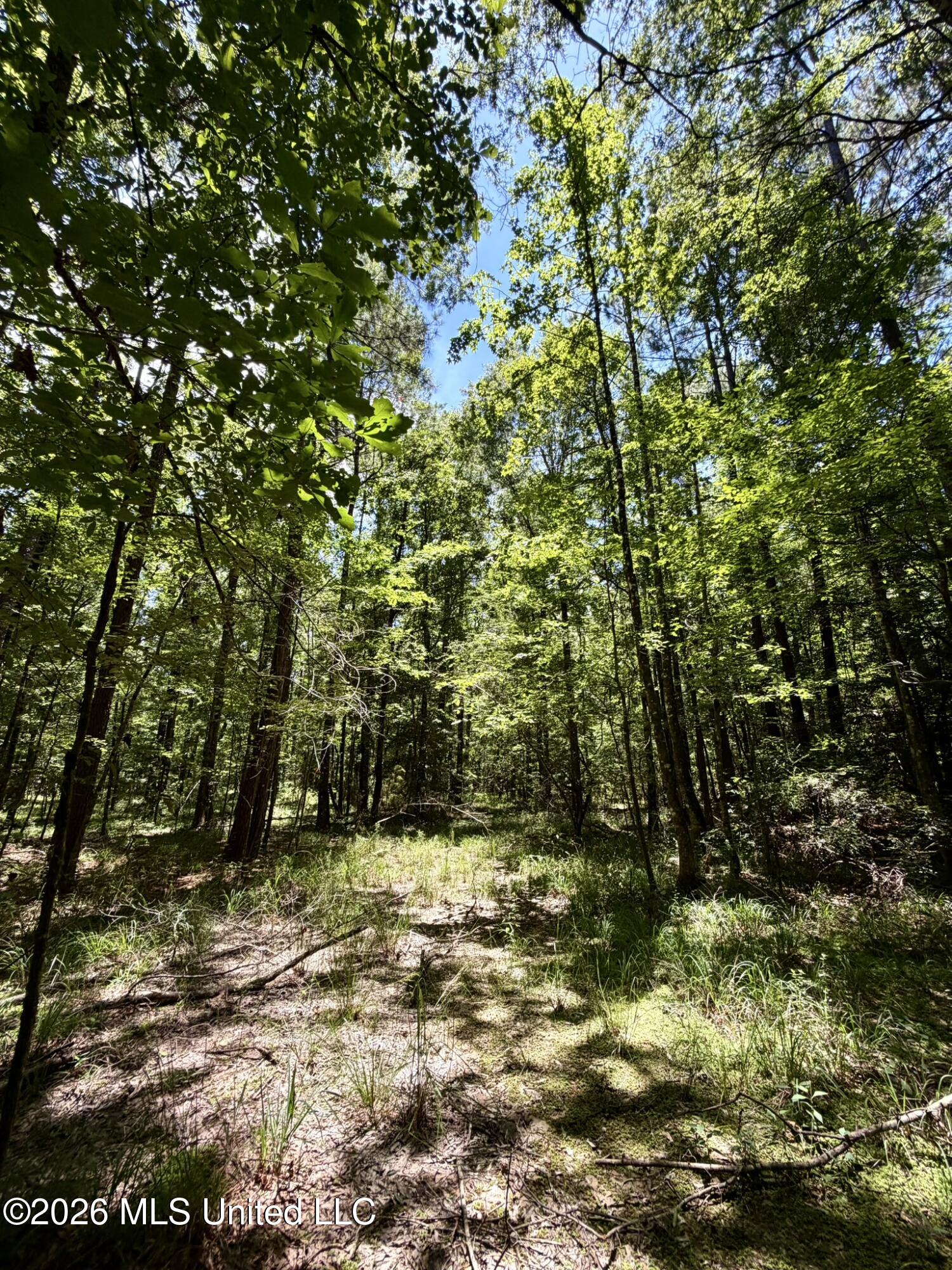 2497 Linfrank Line Drive Southwest Smithdale, MS 39664 - Photo 5 of 14 IMG_0732