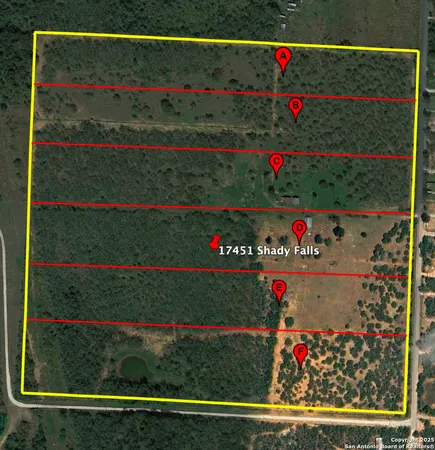 a view of outdoor space with lots of flowers in it