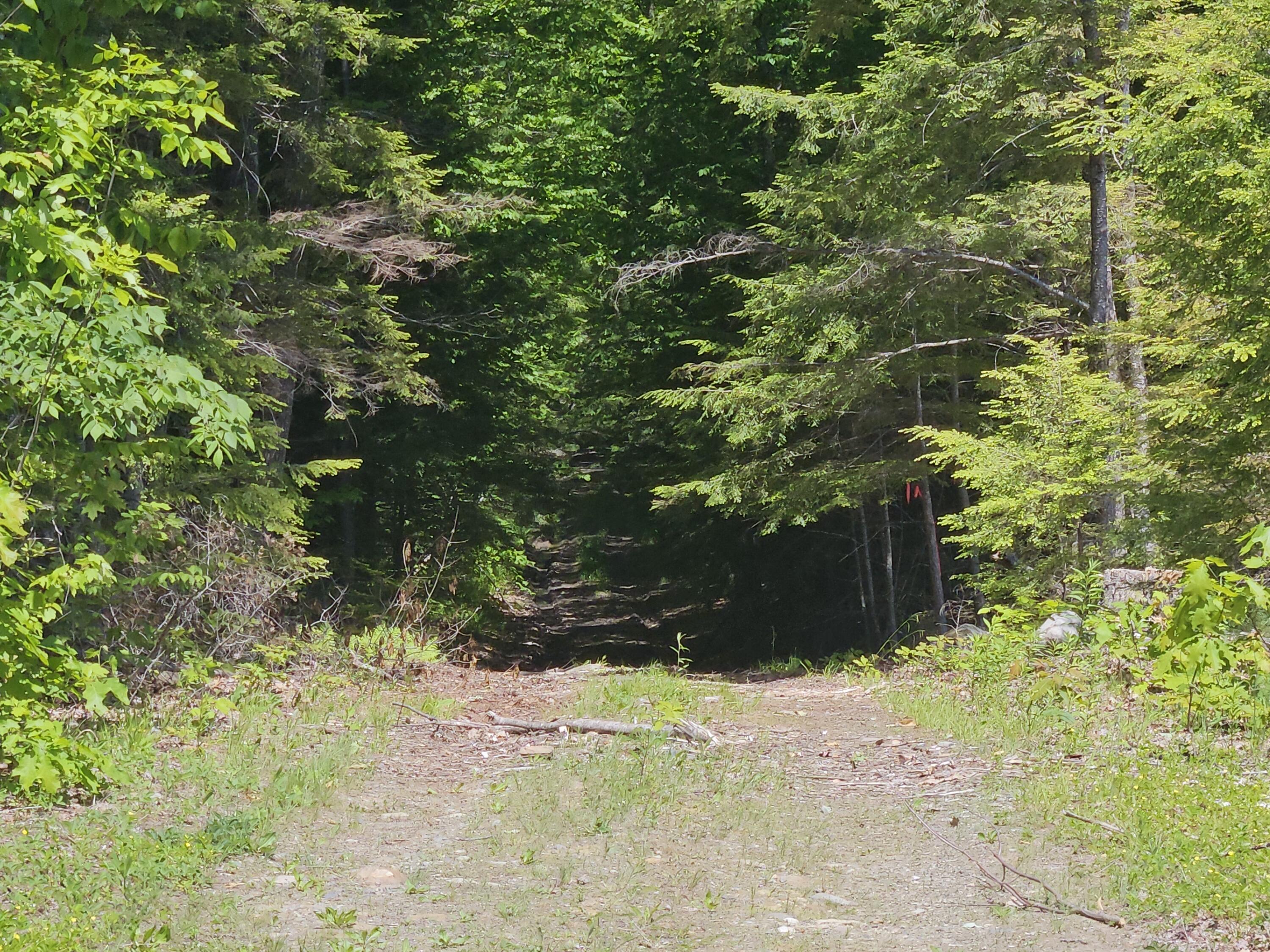 M10-l25 M10-l25 Cahoon Road Chesterville, ME 04938 - Photo 6 of 80 20260609_120440
