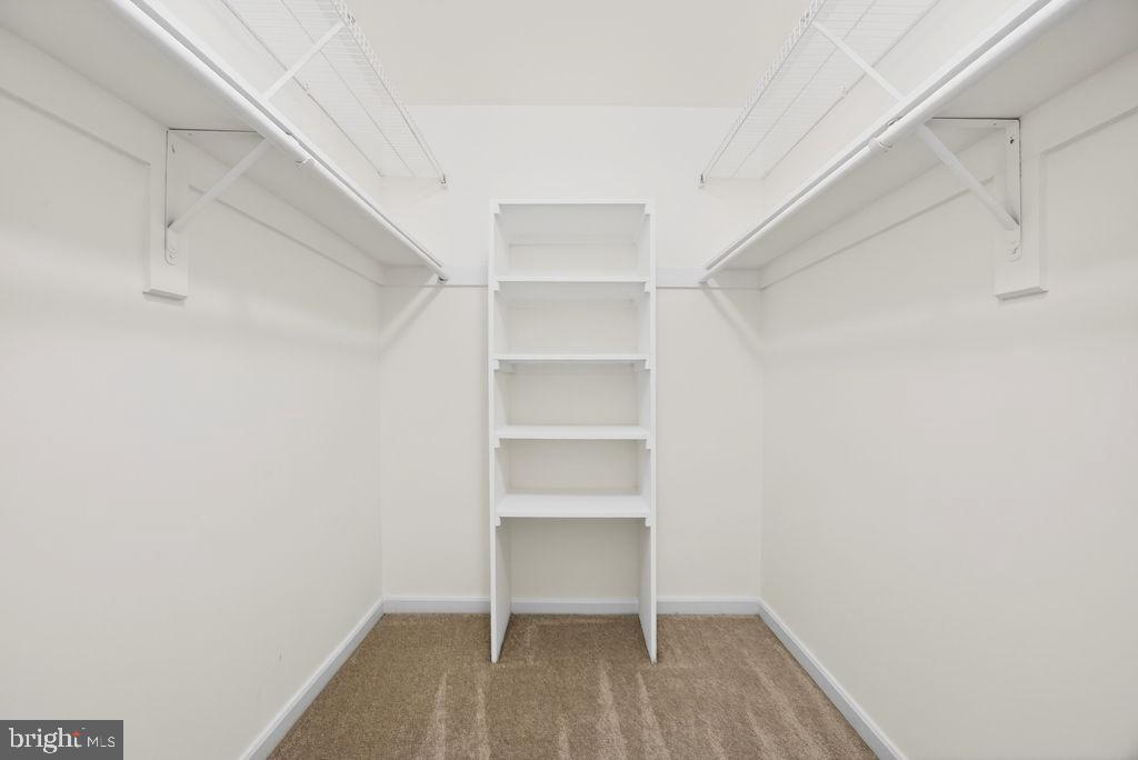 43249 Clearnight Terrace Ashburn, VA 20147 - Photo 24 of 39 a view of an empty walk in closet