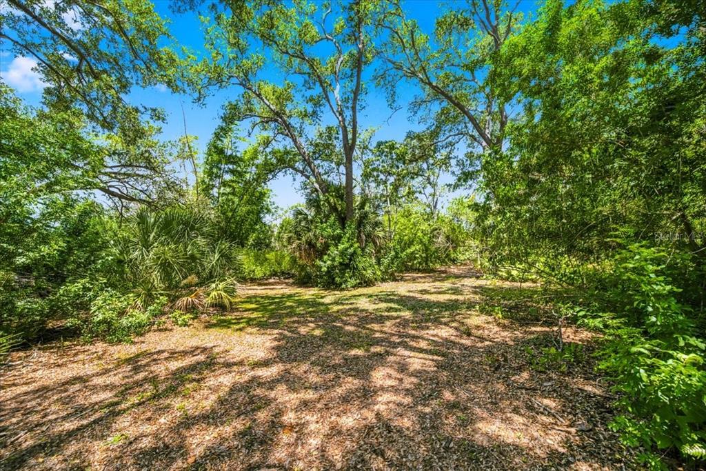 1680 Fox Road Clearwater, FL 33764 - Photo 63 of 72