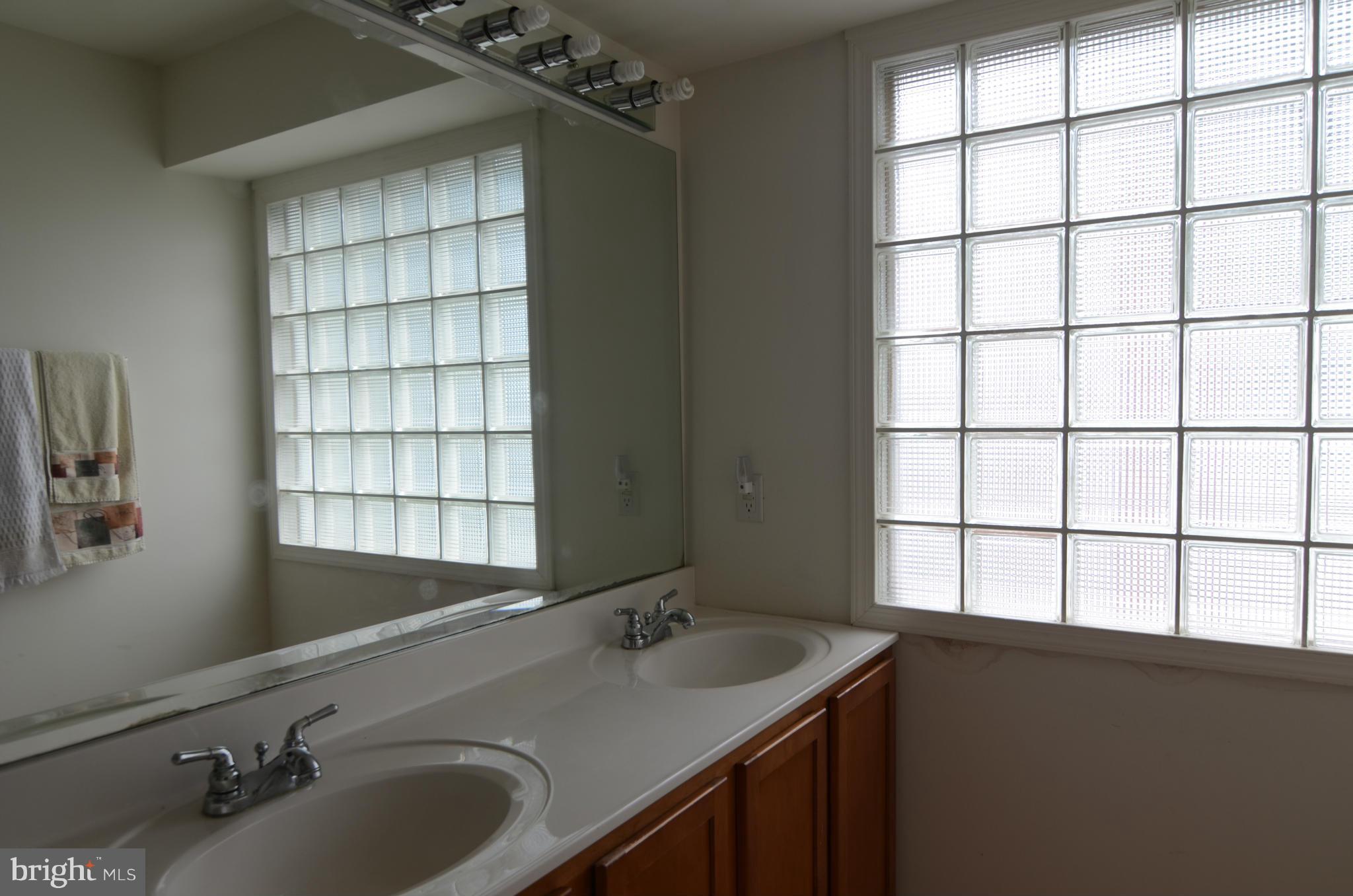 820 Milford Mill Road Baltimore, MD 21208 - Photo 11 of 14 Bath (Master)