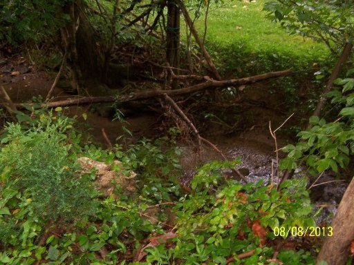 519 Jim Town Road Luttrell, TN 37779 - Photo 19 of 23 Additional Photo