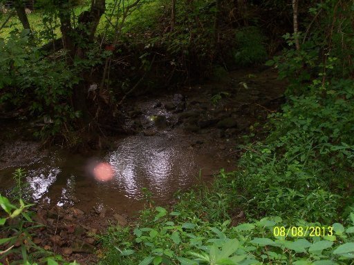 519 Jim Town Road Luttrell, TN 37779 - Photo 21 of 23 Additional Photo