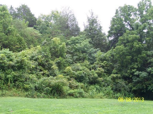 519 Jim Town Road Luttrell, TN 37779 - Photo 6 of 23 Additional Photo