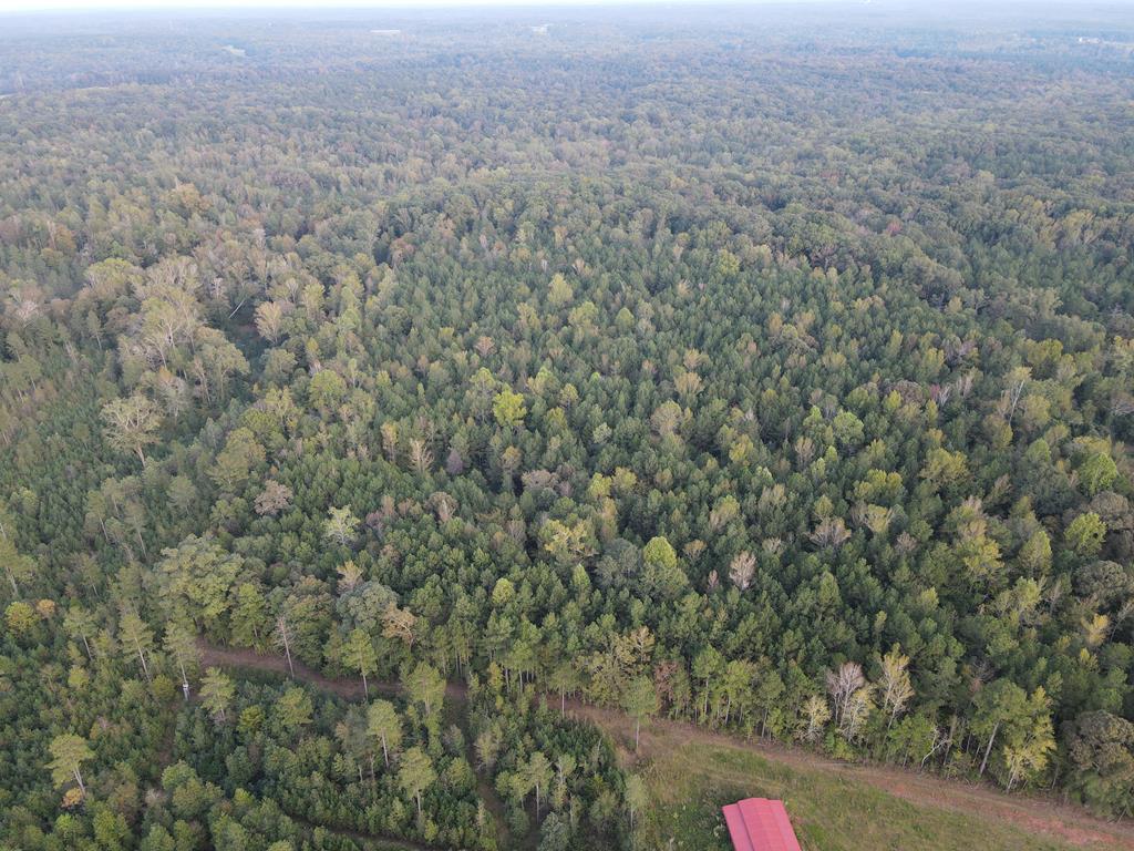 0 Blue Jay Road Hodges, SC 29653 - Photo 28 of 28 Gallery Image 28