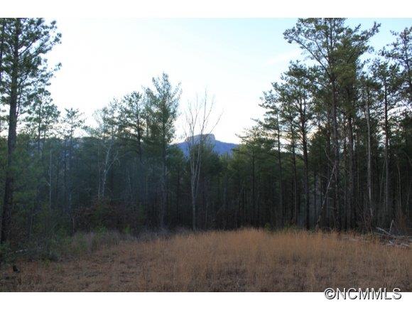 13.06-ac Table Rock Mountain Road Morganton, NC 28655 - Photo 3 of 10 Gallery Image 3