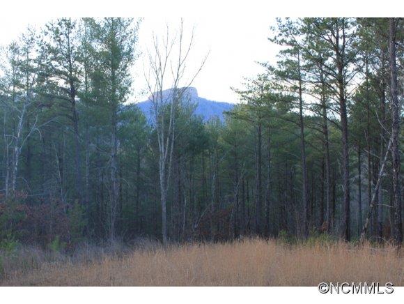 13.06-ac Table Rock Mountain Road Morganton, NC 28655 - Photo 4 of 10 Gallery Image 4