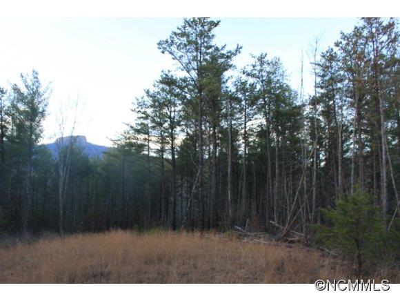 13.06-ac Table Rock Mountain Road Morganton, NC 28655 - Photo 5 of 10 Gallery Image 5