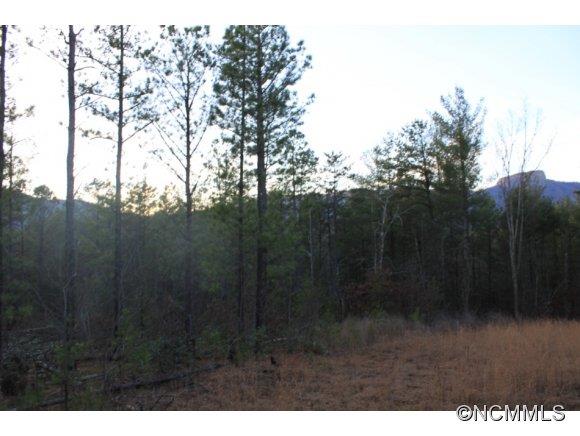 13.06-ac Table Rock Mountain Road Morganton, NC 28655 - Photo 6 of 10 Gallery Image 6