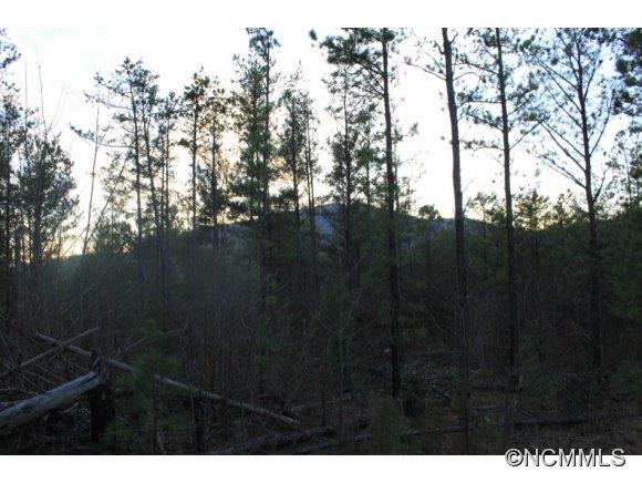 13.06-ac Table Rock Mountain Road Morganton, NC 28655 - Photo 7 of 10 Gallery Image 7