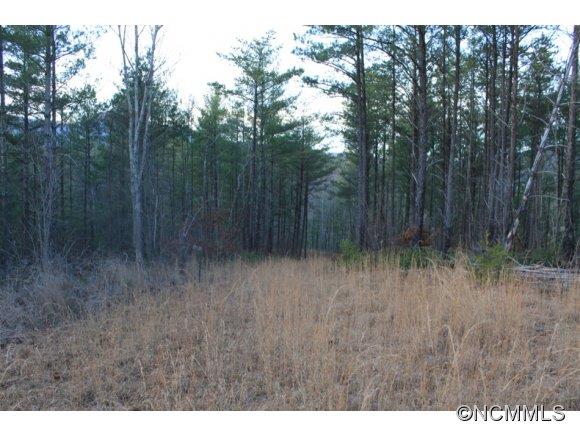 13.06-ac Table Rock Mountain Road Morganton, NC 28655 - Photo 8 of 10 Gallery Image 8