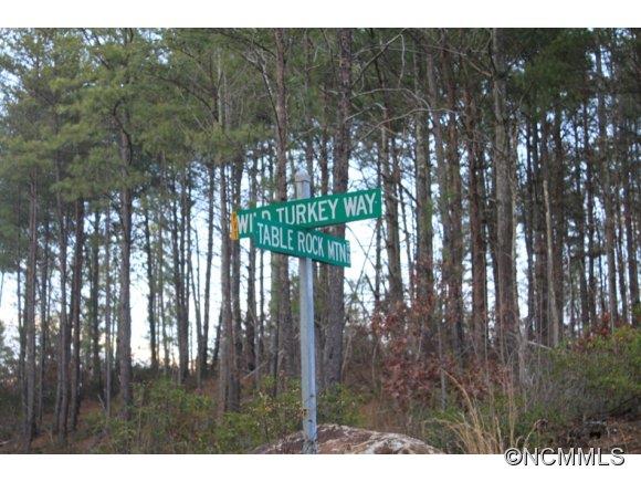 13.06-ac Table Rock Mountain Road Morganton, NC 28655 - Photo 10 of 10 Gallery Image 10