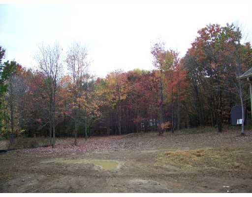 196 Mary Reed Road Economy, PA 15005 - Photo 4 of 8 Land/Lot.